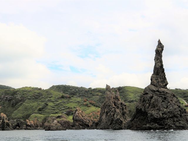 �ω���_����߂���V���D