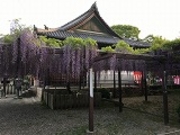 keke����̊��䎛�̓��e�ʐ^1