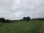 ҂ۂ傱̂̑ߊÕ̓eʐ^1