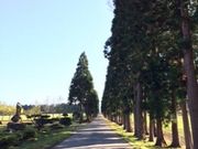 namãgsXgC@ X̓eʐ^1