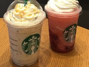 poporoñX^[obNX R[q[ V{XiStarbucks Coffeej̓eʐ^1