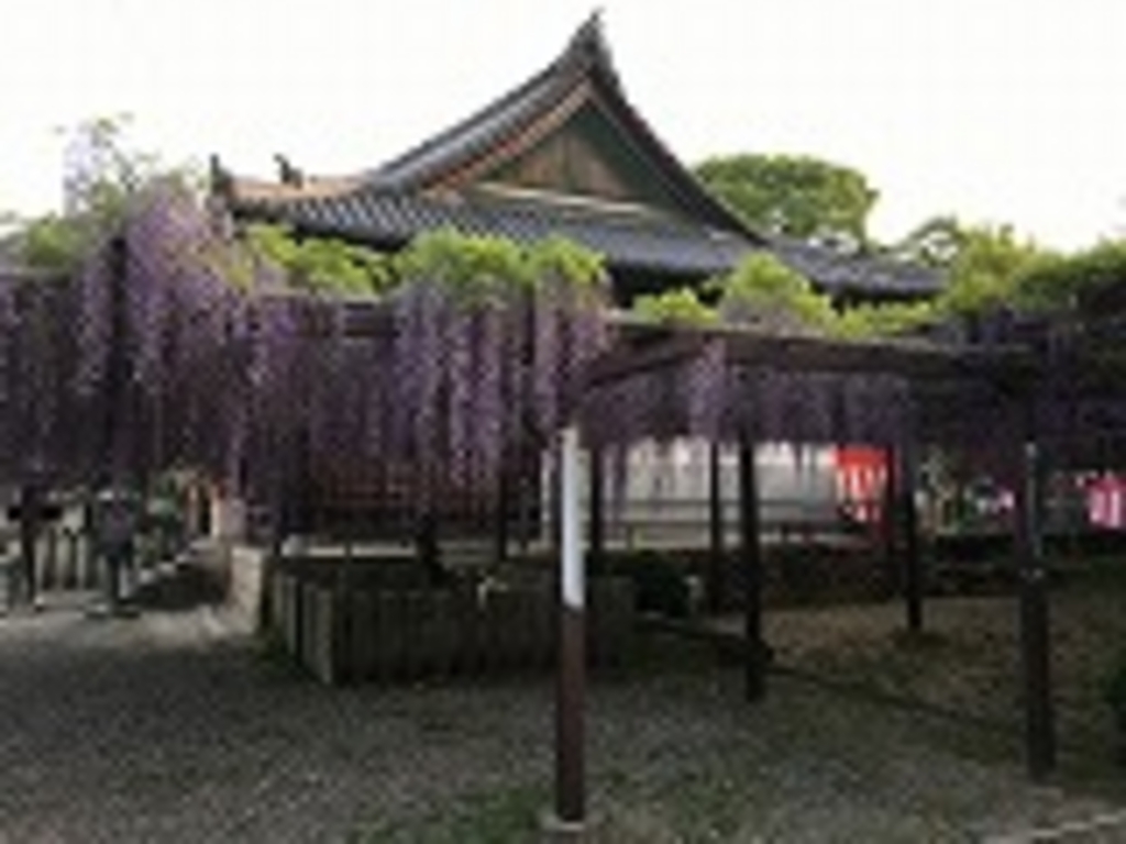 藤井寺市の観光スポットランキングTOP10 - じゃらんnet 藤井寺市の観光スポットランキングTOP10 - じゃらんnet