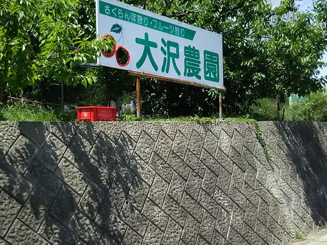 �ŔE�E�E_�������ڎ��E�t���[�c�����_��