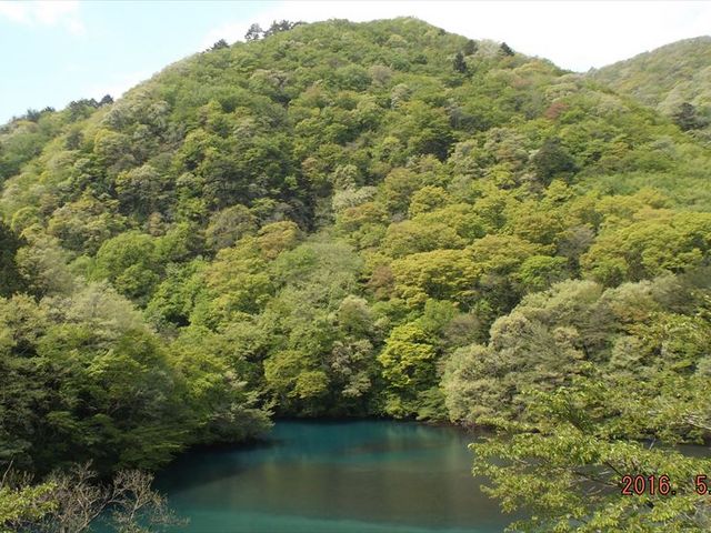 �l���u���[_�l����