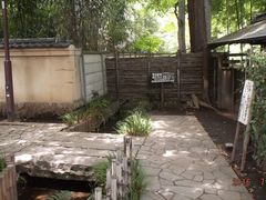 ̐lX̂̓E^p̒rNQւ̓eʐ^2