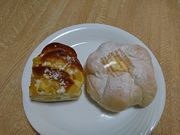 korikorĩpH 鎭X̓eʐ^1