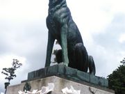 Ղ邯񂳂̌tV_Eޔ̐_Ђ̓eʐ^1