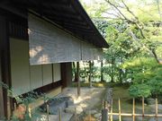 �ڂ肳��̒����@�g�����̓��e�ʐ^5