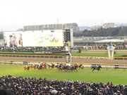 낿񂳂JRAnق̓eʐ^1