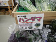 ���񂶂���̐Ί_�s���Y�i�̔��Z���^�[�̓��e�ʐ^1