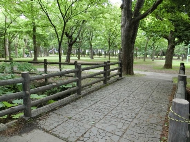 �~�R����_�~�R����