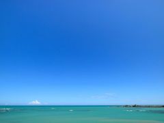 JCANAC^[R`l^r[`][gւ̓eʐ^1