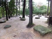 ���ڂ炳��̎����y�{�Ղ̓��e�ʐ^5