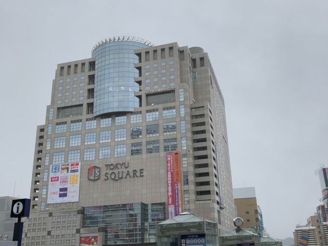 �w���猩���铌�}�X�N�G�A�B�������V���b�s���O���[���B_�i�q�����q�w