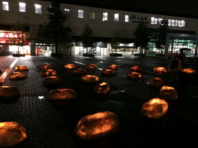 �w�̊O���o��ƃ��C�g�A�b�v��_�ۋT�s�����ē���