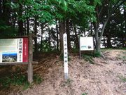 1962̈ɒJՂ̓eʐ^5