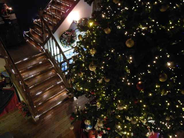 傫ȃc[o}B_T^N[X~[WA