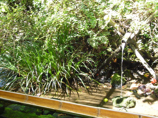 ܂܂̂񂴂炵̓XE̓eʐ^1