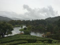 sunfish̏Cw@{ւ̓eʐ^1