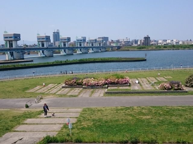 淀川河川公園】アクセス・営業時間・料金情報 - じゃらんnet