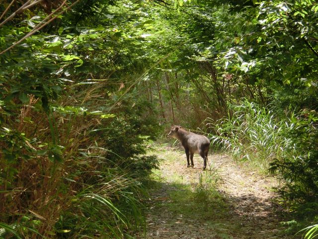 ܂܂ς񂾂̓cXR̓eʐ^3