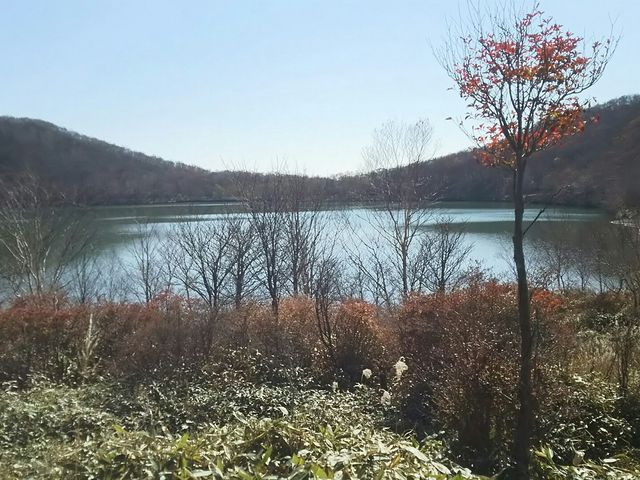 �ꕔ�̖؂��g�t���Ă��܂����B_����