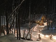 Ղ̃VbsO[hujOeXvւ̓eʐ^1