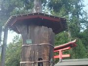 ݂Ԃ̖q̐_㐙̓eʐ^1