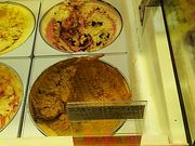 |̃T[eBACXN[CIVX̓eʐ^1