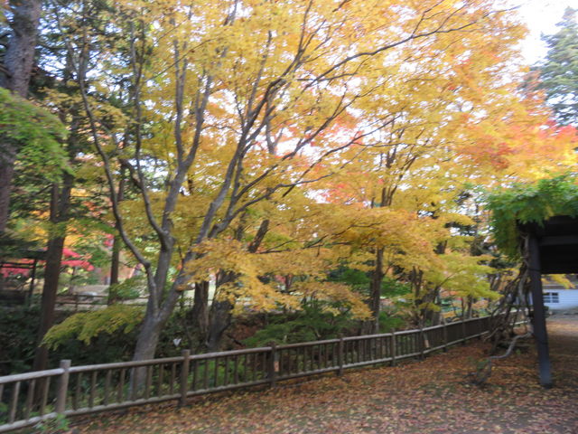 ���ቀ_���������i���ቀ�j