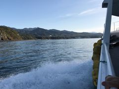 ߂̂̃SWό@JCbJN[U[mEgN[Yւ̓eʐ^4