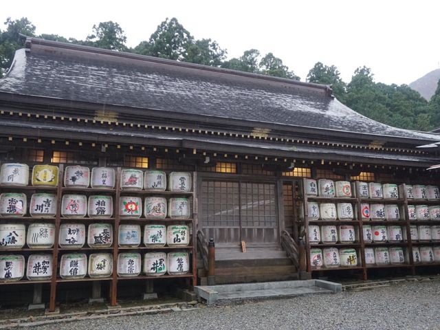 �q�a��������_�\�F�_��