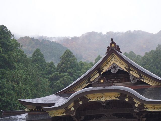 �q�a�ƎR_�\�F�_��