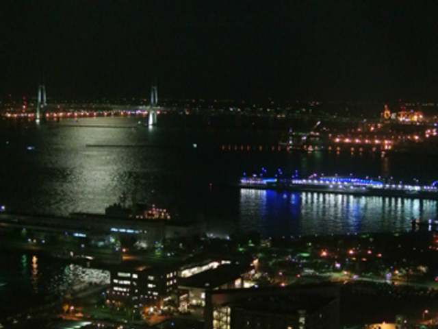 �������R�������B���Ɍ�����̂̓x�C�u���b�W�B_���l�t�F���[�{�[�g�������