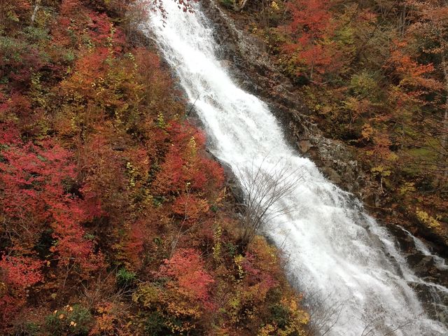 ���ԏꂩ��P�����������Ɍ��邱�Ƃ��ł��܂��B_���l����