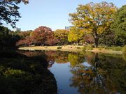 bq񂳂̖k̊ی̓eʐ^1