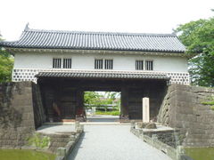 gV[̐Vc\E̊ۋEւ̓eʐ^1