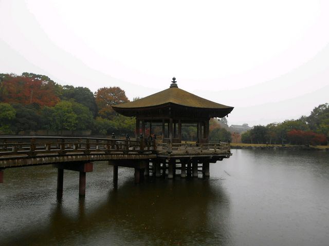 ������_������