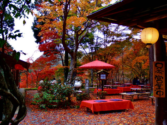 赤い絨毯に感動!_神護寺