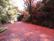 nyao̔ÕQ_Ђ̍gt̓eʐ^1