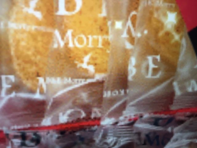 TNTÑXN̐X__˃[}} _˃n[o[hX