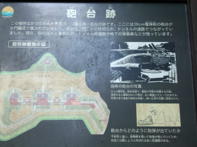 �C��Ղ̊Ŕ�_�x�ɑ��I�B����