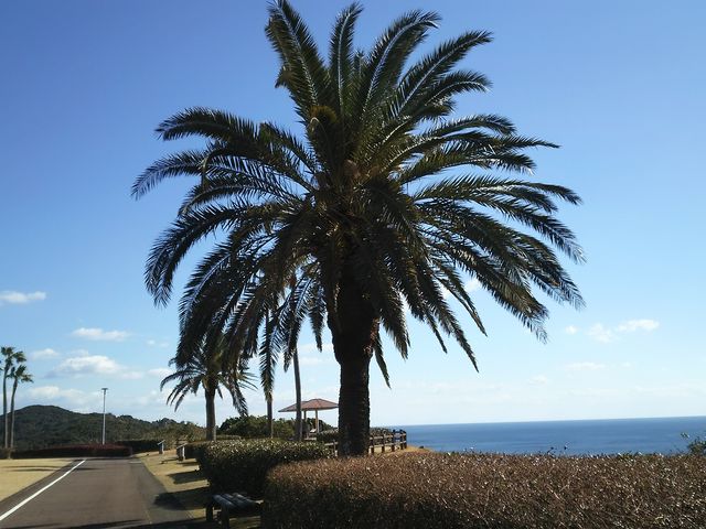 ��_�������O���[���p�[�N