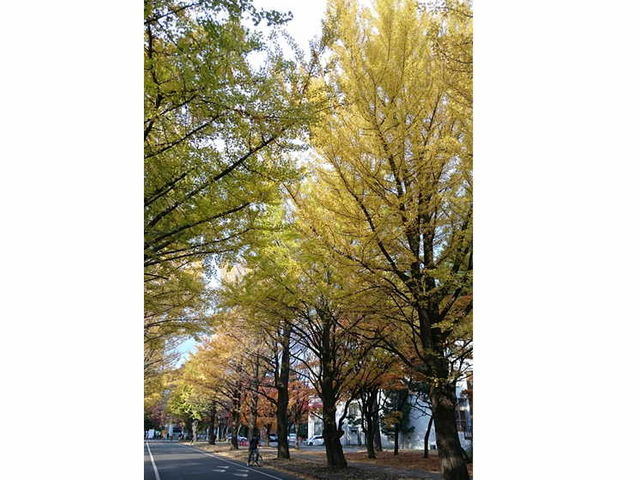 ��Ǖ��؂��Y��ł�_�k��C�`���E����