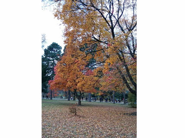 �k��\�����U��ł���̂ł����ł���_�k��C�`���E����