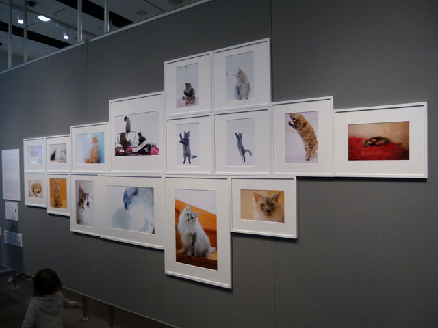 �ʐ^�B�e��OK�ł���_�e�t�i�h�e�h�k�l �r�p�t�`�q�d