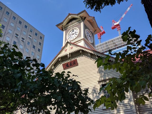 �D�y�̃V���{���ł���_�D�y�s���v��