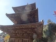 ܂̖@؎R掛Od̓eʐ^1