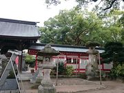 񂿂񂳂̉Fjق̓eʐ^1