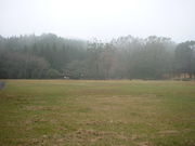 Ԃ񂳂̖@؛Ԍ̓eʐ^1